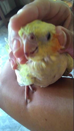 24b2nt4.thumb.jpg.9144de5dbc2e4956c52840