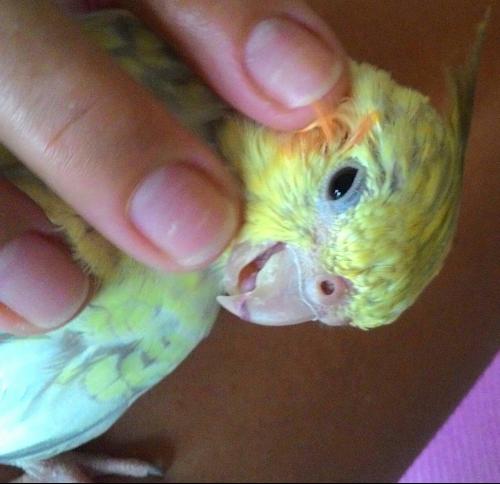 2aequbq.thumb.jpg.35200847a35a3d44e925db