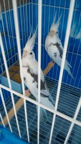 IMG-20151229-WA0003 1.jpg