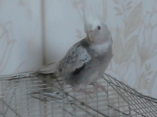 568aa54b0e63f_DSC_00051(6).thumb.JPG.c43