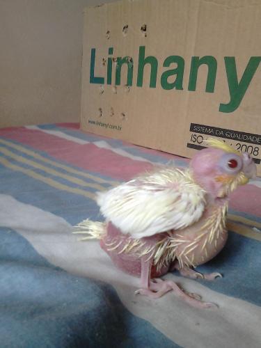 569134989dae5_DSC_03211.thumb.jpg.b6f248