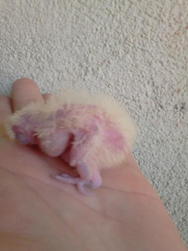 569134b9f00cd_DSC_03181.thumb.jpg.3ae107