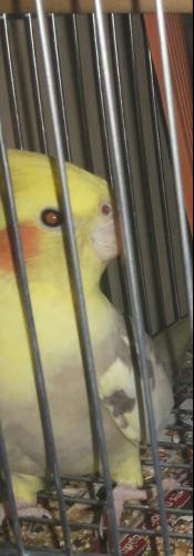 2016-01-11 00.30.43.jpg