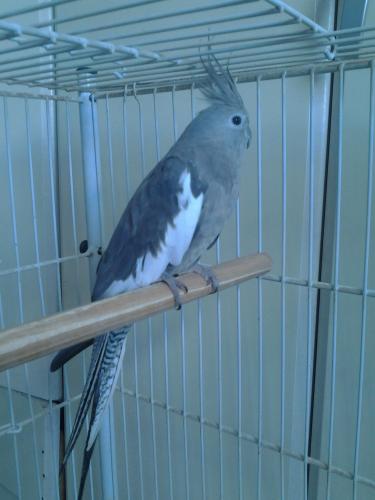 5694526a45135_Maggie1.thumb.jpg.cf2b2d81