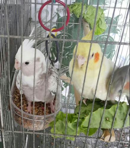 2016-01-14 11.30.31.jpg