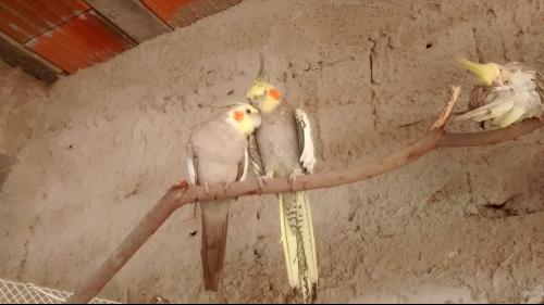 56993e7323d93_IMG_20160115_1438311921.th