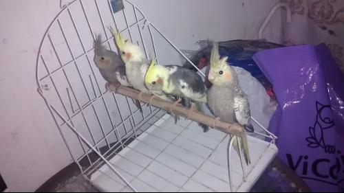 56993f30a7885_IMG_20141120_2130121351.th