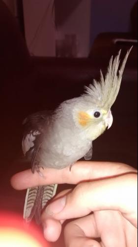 5699405bc8673_IMG_20141207_1419177811.th