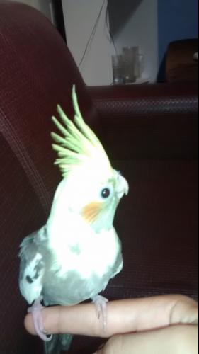 569940779ff19_IMG_20141207_1418035831.th