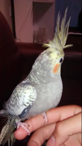 5699409767654_IMG_20141207_1423020461.th