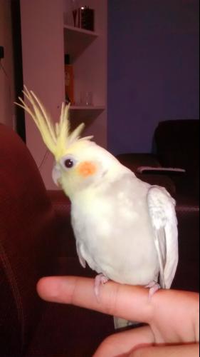 56995c89775cb_IMG_20141207_1415141441.th