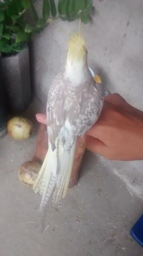 569c10bd909bd_IMG_20160117_1441124141.th