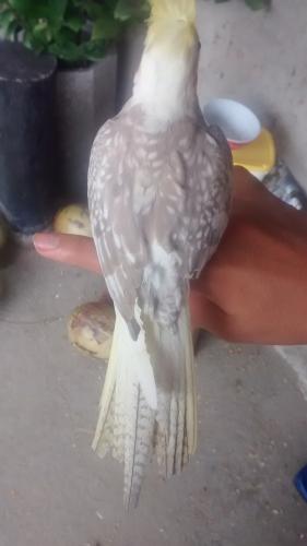 569c10f5310e4_IMG_20160117_1441027461.th