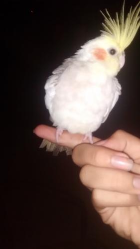 569c116f23c6c_IMG_20160117_1856152231.th