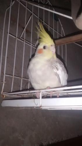 569c11a1f2df7_IMG_20160117_1855019361.th