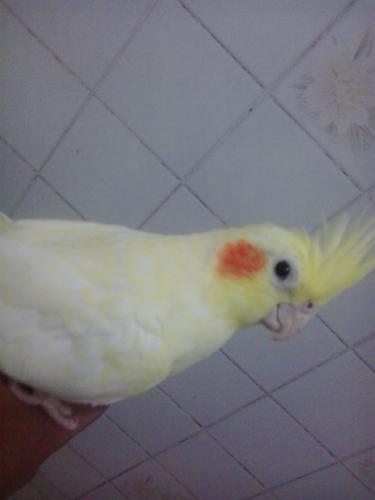 2015-04-15 19.04.56.jpg