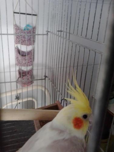 56a7ea231a94d_2015-04-0811.05.26.thumb.j