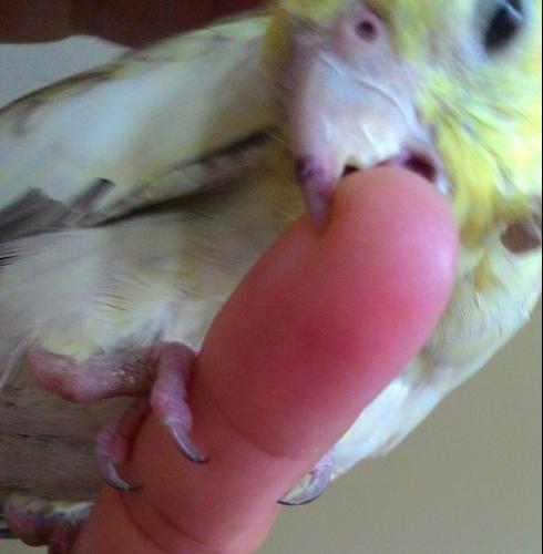 6gwg8p.thumb.jpg.1874461b0340badbf0de510