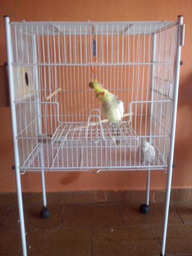 CAM00032.thumb.jpg.53105900d1e0772c5a5c2