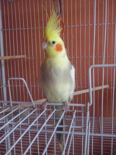 CAM00037.thumb.jpg.db0a6c3ce523fc7d06362