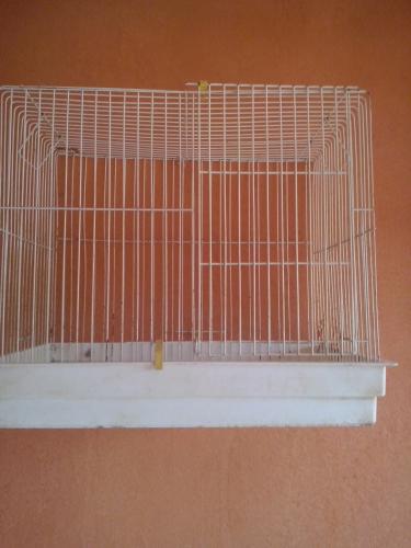 CAM00039.thumb.jpg.6a561d5330af64349a217