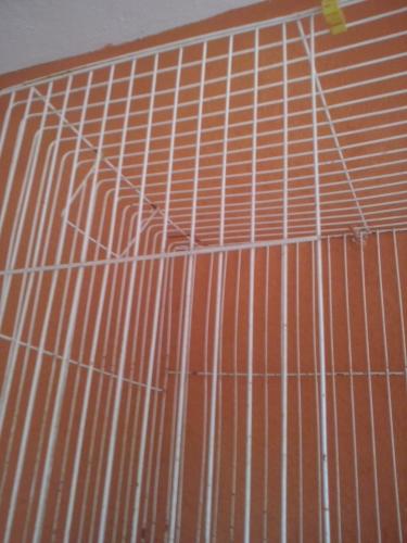 CAM00040.thumb.jpg.e8739008d5dc70b57396a