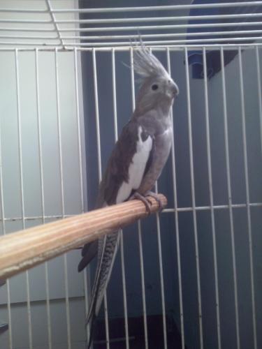 CAM00041.thumb.jpg.a136629952d4ed39663a2