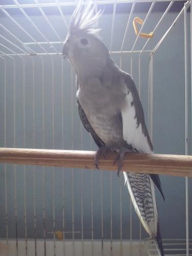 CAM00042.thumb.jpg.3b27f29fbe35bb32cd5c8