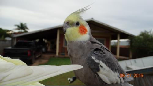 DSC01386.thumb.JPG.9389d63eea12b48766dcf