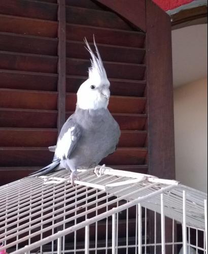 IMG-20151110-WA0029.thumb.jpg.cb43350f0e