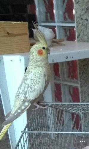 IMG-20151110-WA0031.thumb.jpg.c7b935145a