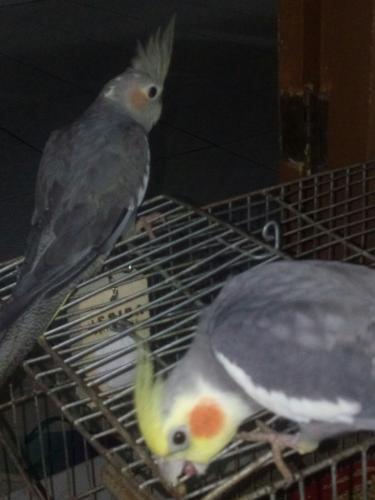 IMG-20160112-WA0022.thumb.jpg.50b6e3bd12