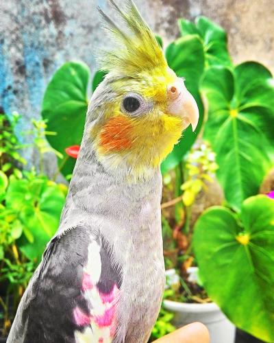 IMG_20160117_211302.thumb.jpg.ca65529349