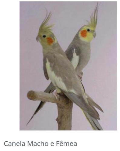 IMG_20160118_095002.thumb.jpg.8252f3bd6c