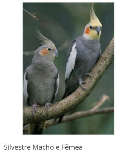 IMG_20160118_095023.thumb.jpg.5d389db5fb