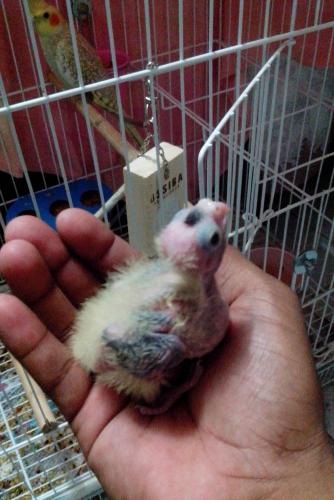 IMG_20160119_200949.thumb.jpg.0d373ea476