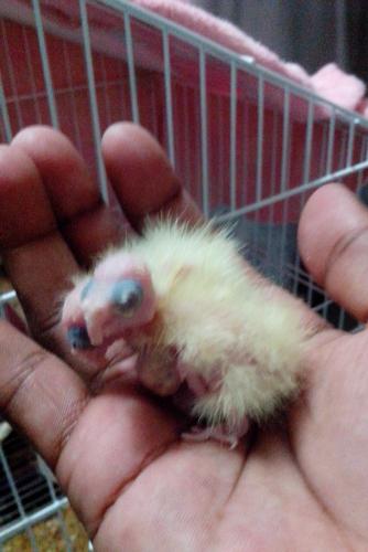 IMG_20160119_201031.thumb.jpg.854c30dad2