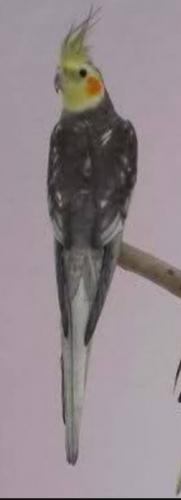 IMG_20160120_160643.thumb.jpg.197626a070