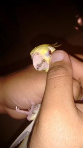 IMG_20160121_233525488.thumb.jpg.37430c9