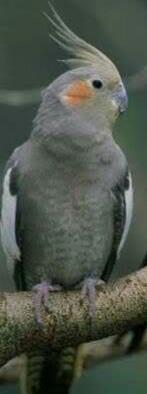 IMG_20160126_214031.thumb.jpg.0ad6ca3b89