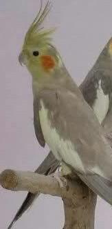 IMG_20160126_214108.thumb.jpg.1146e508fa