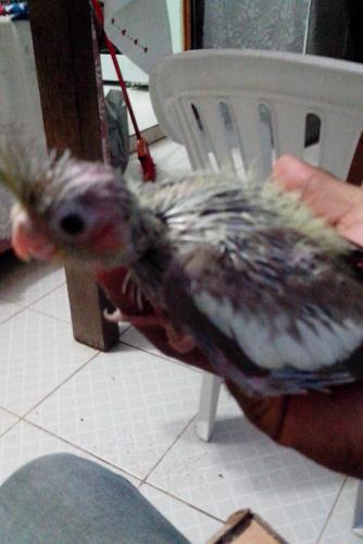 IMG_20160128_203735.thumb.jpg.4363d505de