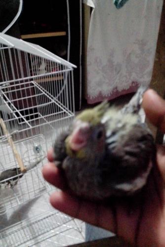 IMG_20160128_203819.thumb.jpg.8851ee77ef