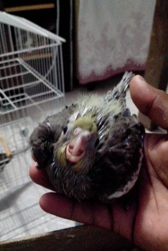 IMG_20160128_203822.thumb.jpg.32718358e4