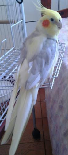 PhotoGrid_1452195051653.thumb.jpg.28ace7