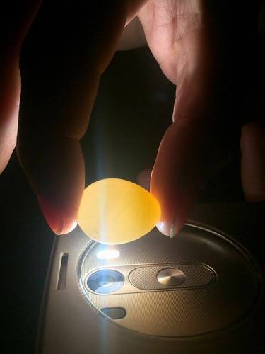 12665853_949808885087485_96244255_n.thum