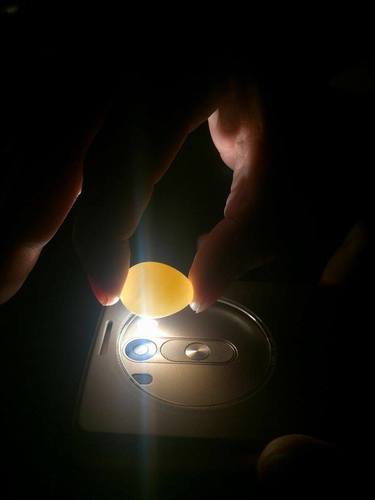 12674426_949808911754149_1614695722_n.th