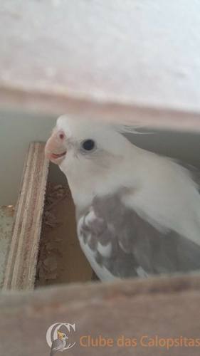 12722073_572693982881547_357248166_n.thu