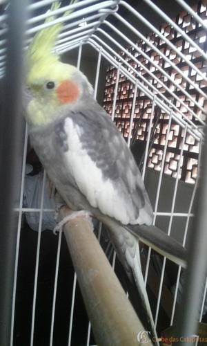 20160215_183014.thumb.jpg.8f4fb58e49abfc