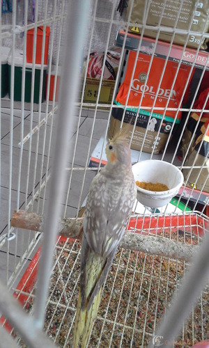 20160216_183218.thumb.jpg.38ee2dad4570ac